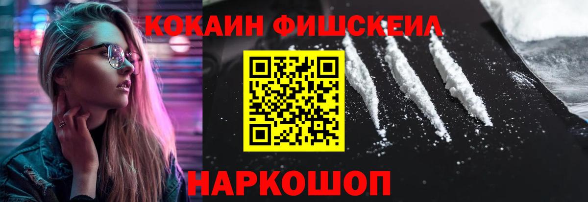 Кокаин  COCAIN Fish Scale  купить закладку  Владикавказ  Вход с VPN 