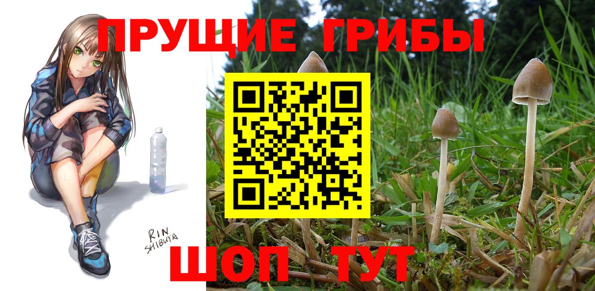 Псилоцибиновые грибы MAGIC MUSHROOMS  Вход с VPN  Владикавказ 